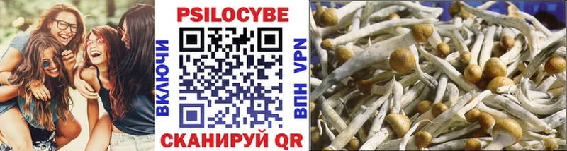 Псилоцибиновые грибы Magic Shrooms  Лангепас 