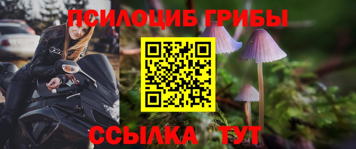 Галлюциногенные грибы MAGIC MUSHROOMS  Вход с VPN  Лангепас 
